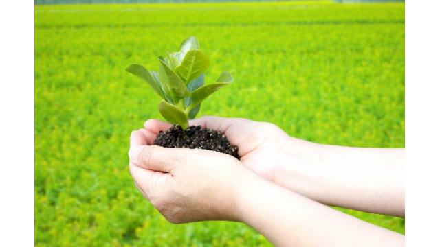 村田製作所（６９８１）の利益成長力　ＭＬＣＣ編その５