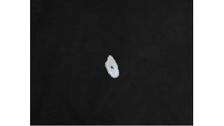 米粒に「円周率」器用さ競う　秋田