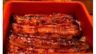 「ナマズ味のウナギ」開発に成功　千葉電波大