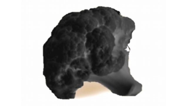 黒いブロッコリー「クロッコリー」開発に成功　都立バイオ研