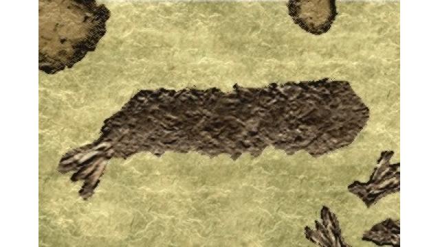 幻の「フライエビ」全身化石見つかる　名古屋