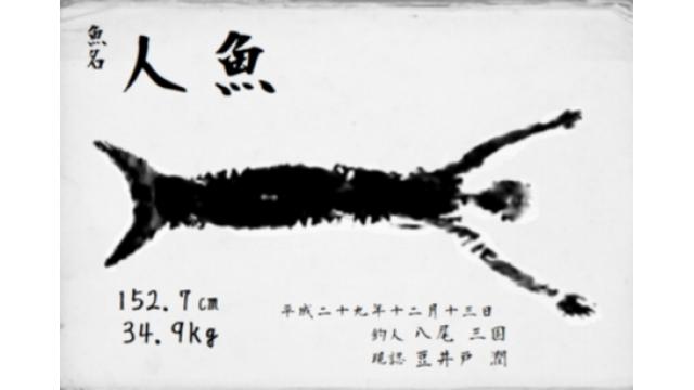 琵琶湖で１メートル超の人魚釣れる　人魚拓も展示