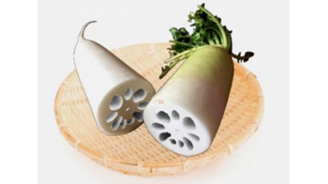 ダイコンの大幅軽量化に成功　レンコン遺伝子導入