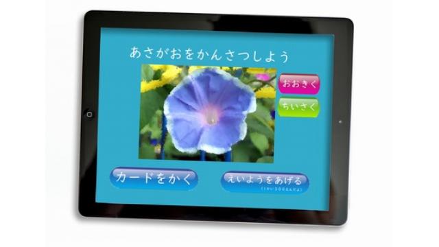 仮想アサガオ、アプリで栽培　デジタル化する生活科　マキャベリ小