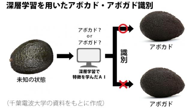 アボカドとアボガド、深層学習で識別　プロ並み精度誇る