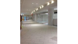 「明るい廃墟」　ピエリ守山さん死去　５歳