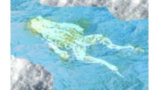 永久凍土から５万年前の仮死カエル見つかる　ロシア