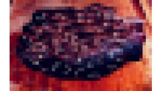 ４年に１度「腐肉の日」　各地で試食会