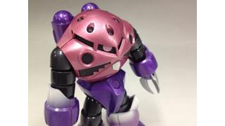 ズゴック完成作品お披露目！