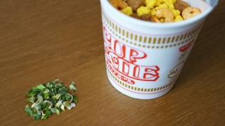 カップヌードルをネギ抜きで食す