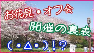 ニコ生主がお花見オフ会を開催する、３つの理由