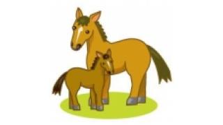 【生主紹介】メモ帳系　競馬予想生主　ブエナ