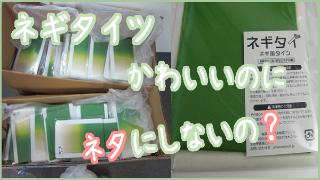 【今話題の「ネギタイツ」をネタに放送しないの？】
