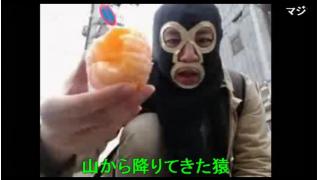 みどりぽ⑦　駒込編