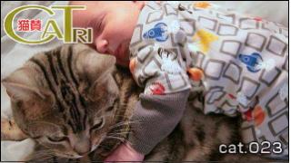 CoTri 番外編 「CaTri -猫賛-」 cat.023「異種族らばーず？」