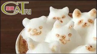 CoTri 番外編 「CaTri -猫賛-」 cat.096「ほっとひといき」