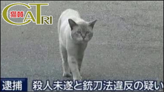 CaTri -猫賛- 「猫のセカイのアニキ？」