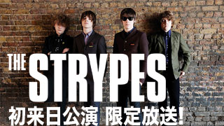 【サンプル記事】SMASH CHANNEL