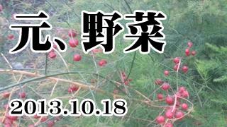これ、とある食用植物の進化後なんだけど何だか分かりますか【決算レッド】
