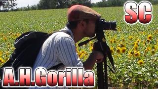 僕の好きな町：北海道上川郡美瑛町【ＳＣゴリラ】