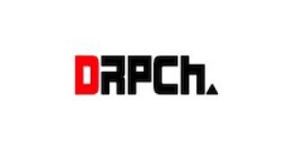 DRPCh.2013年のまとめ☆