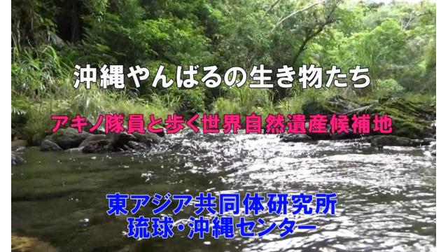 第251回UIチャンネル　沖縄やんばるの生き物たち アキノ隊員と歩く世界自然遺産候補地