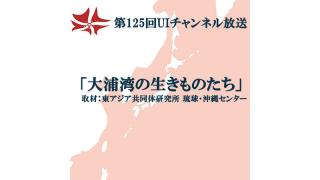 第125回UIチャンネル生放送　「大浦湾の生きものたち」取材：東アジア共同体研究所 琉球・沖縄センター