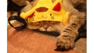 【20本無料】有料ブロマガ記事を期間限定で無料公開『月刊ブロマガ 8月16日号』――アーティストを目指す人に読んでほしいブロマガ特集