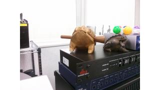 らじおだよー！ラジオきいてみよおおおお(/≧ω≦)/