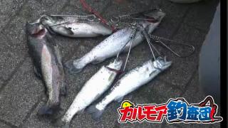 【レポート】カルモア釣査団　いい加減 幻のスーパーレインボーを釣れ　餌釣り編 [芦ノ湖]