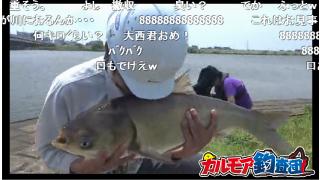 【カルモア釣査団】中国四大家魚チャレンジ　其ノ壱 ハクレン