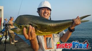 【ｶﾙﾓｱ釣査団】海の長距離ﾗﾝﾅｰ　ｼｲﾗを狙う！