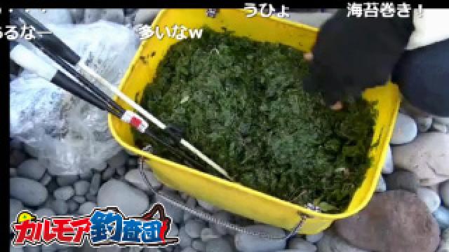 海苔撒き釣法！夜のゴロタでメジナ釣り！