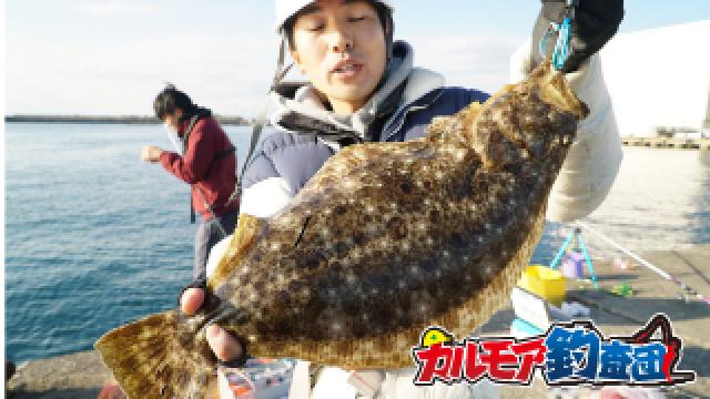 堤防五目釣り 活き餌遠投天秤 エレベーター仕掛け炸裂なるか ぬこまた釣査団 ぬこまた釣査団 ぬこまた釣査団 ニコニコチャンネル エンタメ