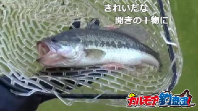 真冬の釣パラダイスでバス釣り[バスポンドのまとめ]