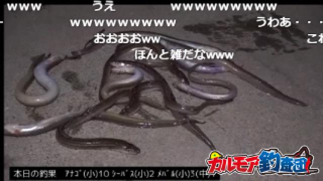 岡山の離島釣り配信～アナゴ爆釣で釣り収め～