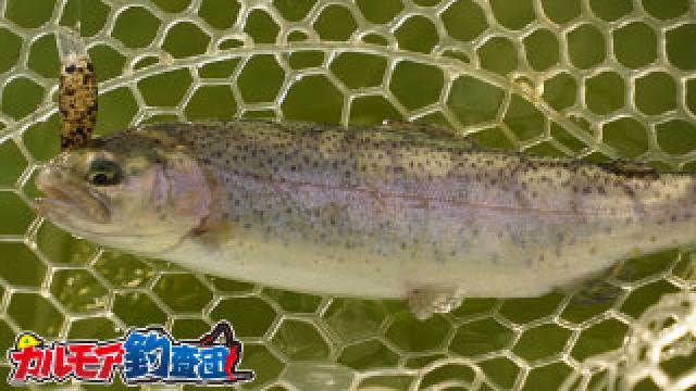 自作ルアーでトラウト釣り としまえんフィッシングエリア 管釣り ぬこまた釣査団 ぬこまた釣査団 ぬこまた釣査団 ニコニコチャンネル エンタメ