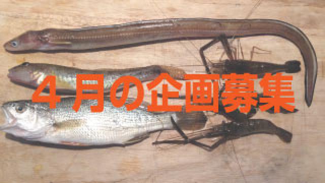 【後援会報】4月の釣り物企画の募集