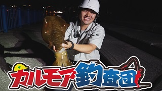 【レポート】カルモア釣査団　餌やﾙｱｰでｱｵﾘｲｶ釣り実況