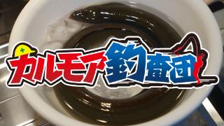 【レポート】カルモア釣査団　うなぎ釣り