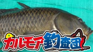 【レポート】カルモア釣査団　パンで鯉を釣る！