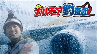【後援会報】本日25日夜の公開テスト放送について