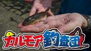 【レポート】カルモア釣査団　ハゼクラ　大西の逆襲