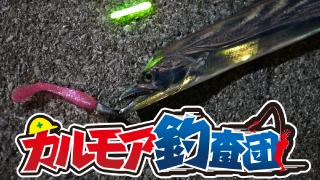 【レポート】カルモア釣査団　ﾄﾞﾗｺﾞﾝﾊﾝﾃｨﾝｸﾞ　東京湾の太刀魚を狙う！