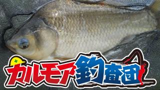 【レポート】カルモア釣査団　管理釣り場でヘラブナ釣り　IN 釣りパラダイス