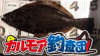 【レポート】カルモア釣査団　ヒラメ釣　泳がせ釣りに思いを馳せる