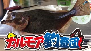 【レポート】カルモア釣査団　島で釣り実況 大西の帰省遠征特番