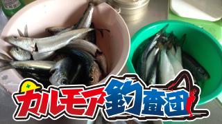 【レポート】カルモア釣査団　本牧海釣り施設で五目釣り