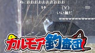 【レポート】カルモア釣査団　鱒釣り実況 幻のｽｰﾊﾟｰﾚｲﾝﾎﾞｰを釣れ