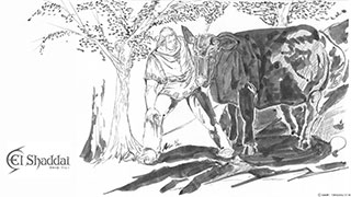 エルシャダイ原作小説P２７ページの挿絵配布します。